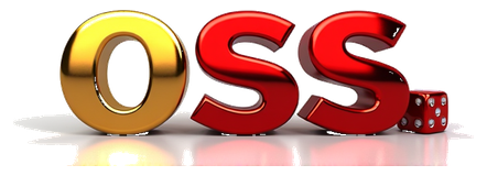 0ss